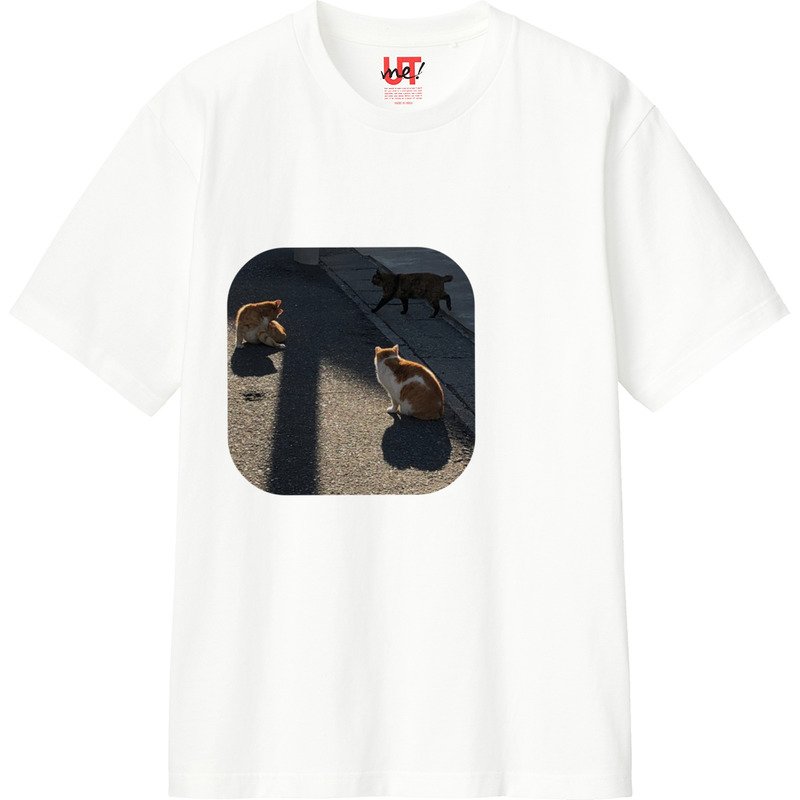 E460f4da 09d6 4d93 8d11 064bf4867b12 110 print ll