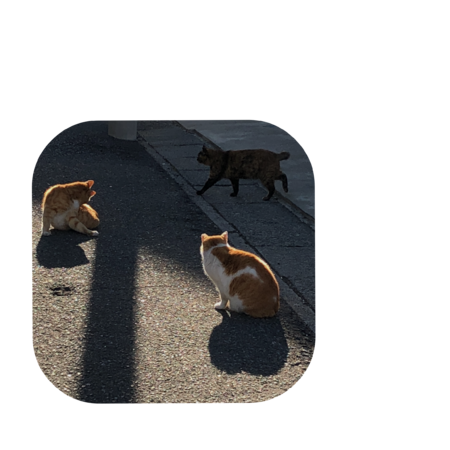 E460f4da 09d6 4d93 8d11 064bf4867b12 s