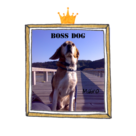 63e32d08 1308 4078 94a8 0fc4edc58648 s