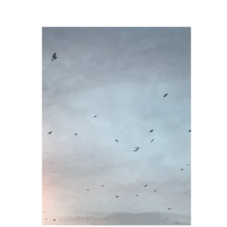 1b9adb6c 52dc 4923 ba69 0911986d2cf3 s