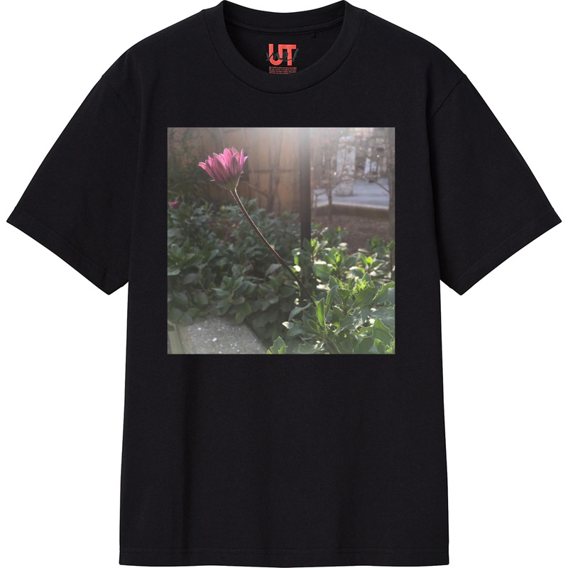 D856d056 a2ed 4aa2 83f5 3e4a8be9e9b6 111 print ll