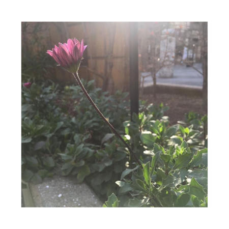 D856d056 a2ed 4aa2 83f5 3e4a8be9e9b6 s