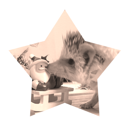 Da81fa0b ebd3 4457 911a cafe83831f9b s