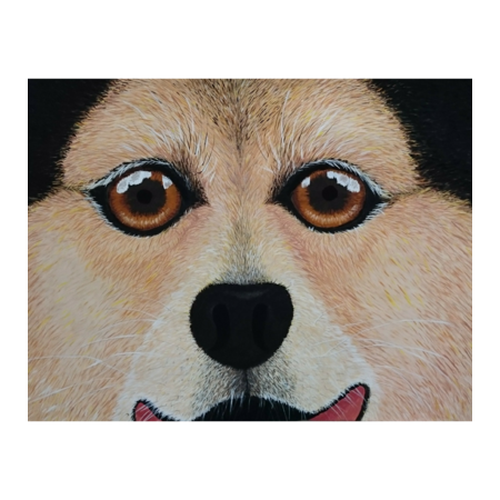 E8bc255f ea96 4190 a91a de78275160e7 s