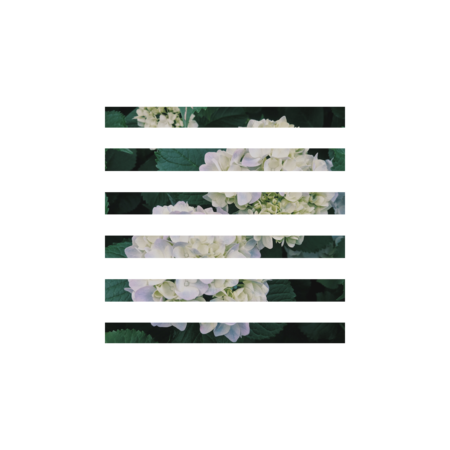 Bf139b7c 4cb5 4b13 a5c8 a7c9d9061dd5 s