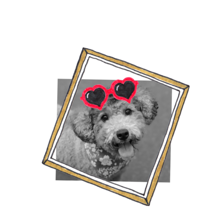 126d7b82 108f 4db3 b211 8595196e289e s