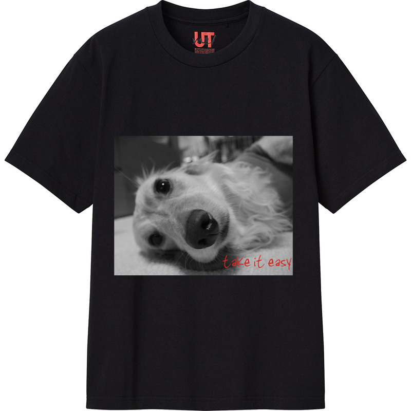 2eaf65ee 61d1 4f99 9bfe 90ed1e5f71dd 111 print ll