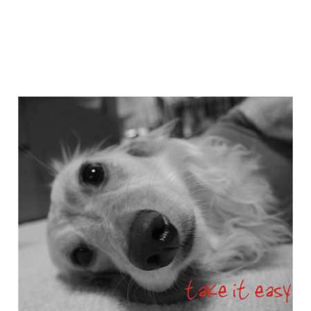 2eaf65ee 61d1 4f99 9bfe 90ed1e5f71dd s