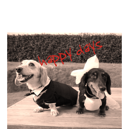 94f4b97a fe20 4fc7 b937 239b37ec5feb s