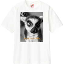 F2f17d74 f1b6 4765 ad1c 27dd9190d161 110 print s