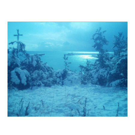 3169c165 b82e 4113 9538 92dcb9b3fdbc s