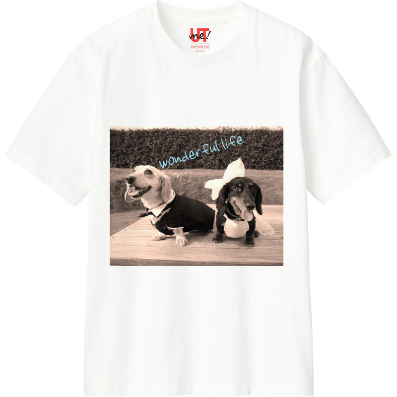 43f2dd66 6907 4fe3 8d42 d5313b9440f2 110 print ll