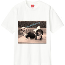 43f2dd66 6907 4fe3 8d42 d5313b9440f2 110 print s