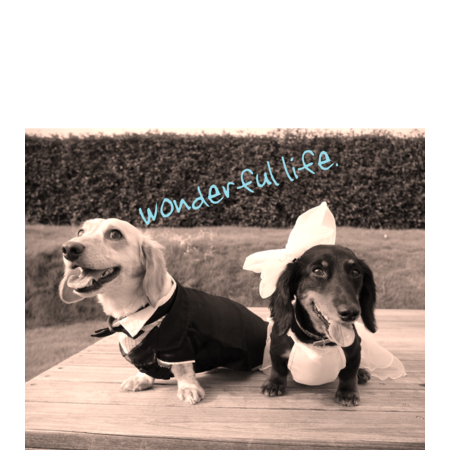 43f2dd66 6907 4fe3 8d42 d5313b9440f2 s