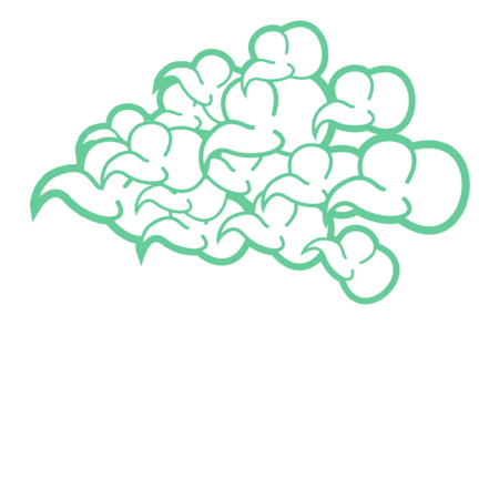 1f3b048a 1c3a 4869 b76c 09b5d04027c3 s