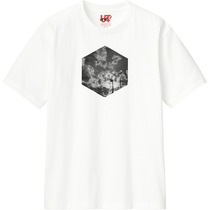 25f11da9 2ccc 4ea7 b138 bc12ed209c1e 110 print s