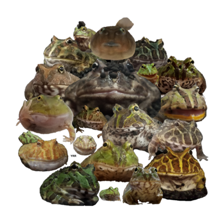 D1d8b045 5f9c 47c2 a8e3 98b6d5641346 s