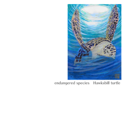 89b85103 2738 47f6 82cd 81099ec4f870 s