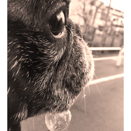 44fae9f8 356c 4266 9094 5d9d05929021 s