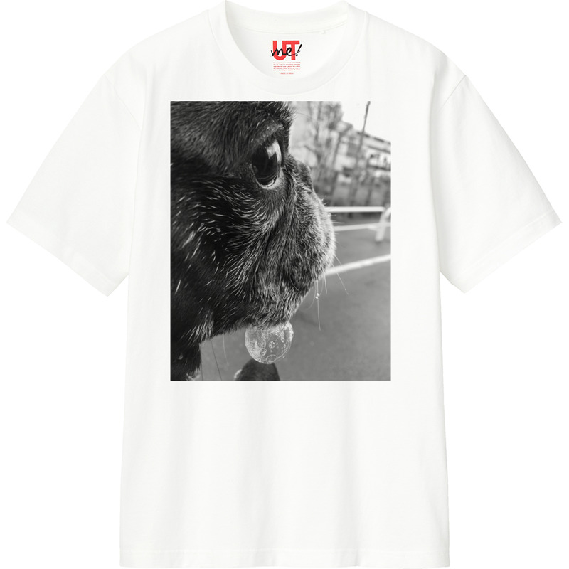 A3a3379d cff9 41c1 92e5 6f060e337a22 110 print ll