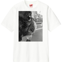 A3a3379d cff9 41c1 92e5 6f060e337a22 110 print s