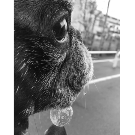 A3a3379d cff9 41c1 92e5 6f060e337a22 s