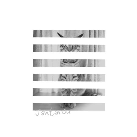 85ea1f82 e363 4f2b 91dc fd0dc1910803 s