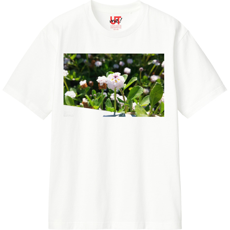 57d3418f cd50 4316 bf0b dc07b0953a06 110 print ll