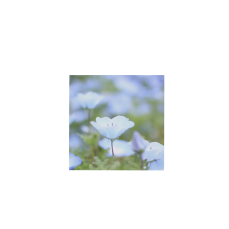 06a3875b 329a 4b57 8326 5569c71e8a15 s