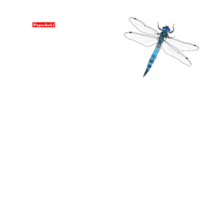 7caa0afb 3600 4519 a63f ab75298c1c71 s