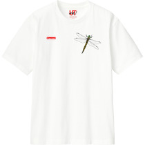 9568da30 d664 4438 a4a3 b9458ff50011 110 print s