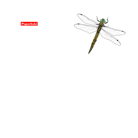 9568da30 d664 4438 a4a3 b9458ff50011 s