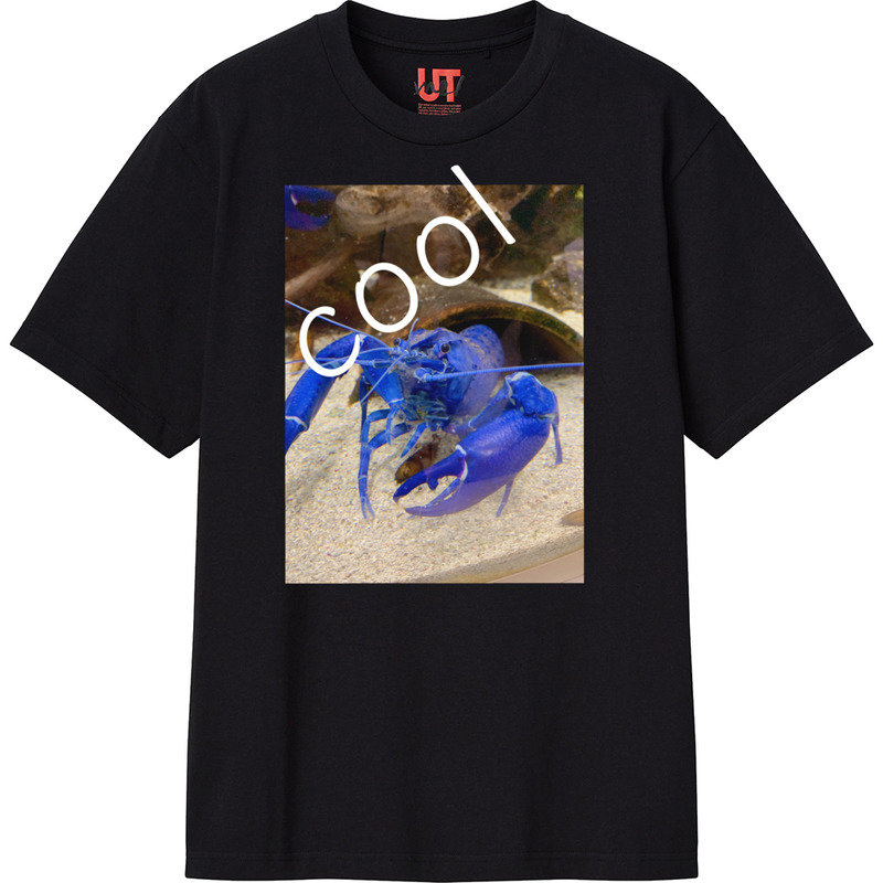 61debe45 50a9 48d7 a19e 9c4c3765d67b 111 print ll