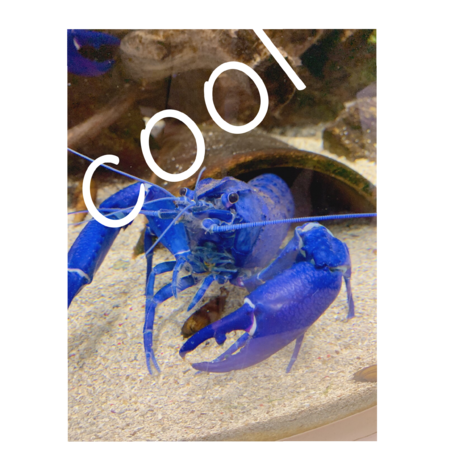 61debe45 50a9 48d7 a19e 9c4c3765d67b s