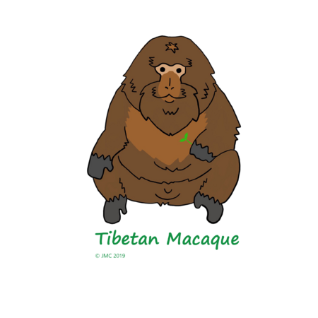 Faa5c368 abf0 49ee 95b0 1b6c8f85ef06 s