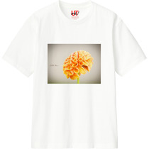 788446be a980 4a60 8093 55f953525f6e 110 print s