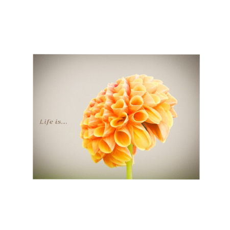 788446be a980 4a60 8093 55f953525f6e s