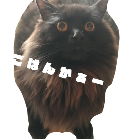 84fd3409 ef37 4709 840f 95e7bd1eac57 s