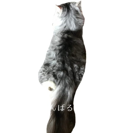 Ecfd5446 60d6 4524 a4f4 07643675a994 s