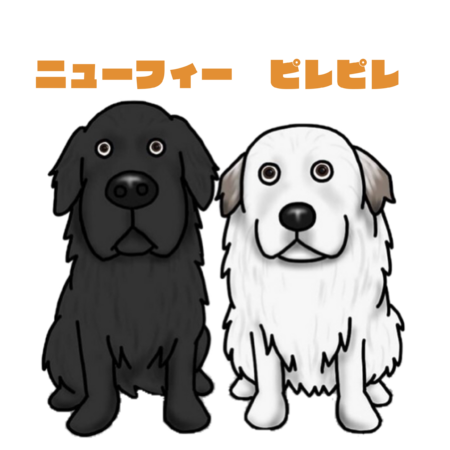 C0d89633 961b 4eb5 87f0 d5736ee903f5 s