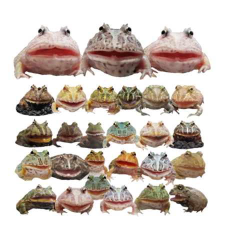 C80c2bf6 f413 4f50 abd2 288ab70e3387 s