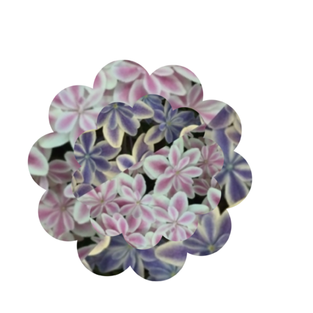 09486da7 89a7 409f 924e e4cc43d41cb2 s