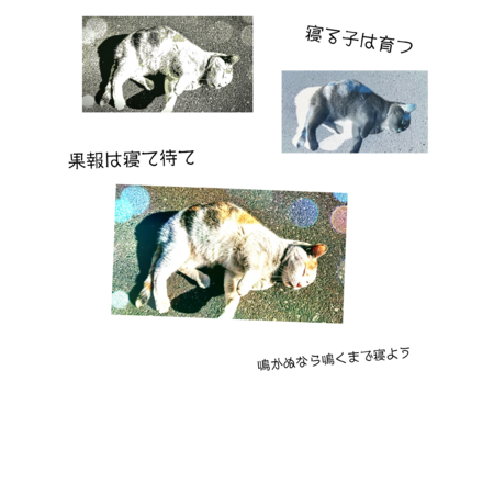 Fac26dcb 50af 49ad 8f71 1f7ee3b4b89e s