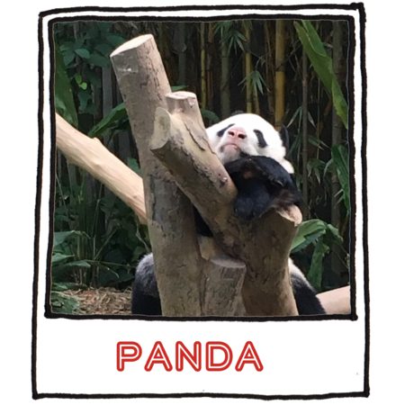 F0ecf369 7dc2 4a5b 9ac0 aaa5d13f6898 s