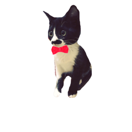 F82f6488 6d63 49a7 bee0 bcc0426d80f0 s