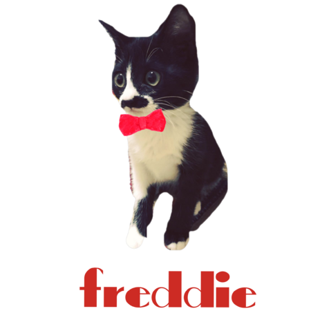 0c771bce 3fa2 4ffa 9ae3 75b54c1895ab s