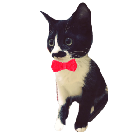 44fab7ad fe86 4ff5 bd7b de148f5c9031 s