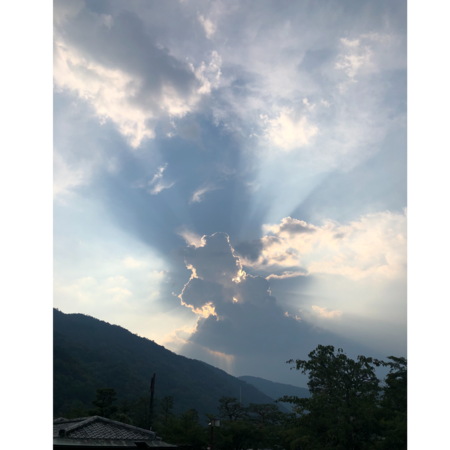 047a12eb 1f7b 4067 98ce 22214c236b45 s