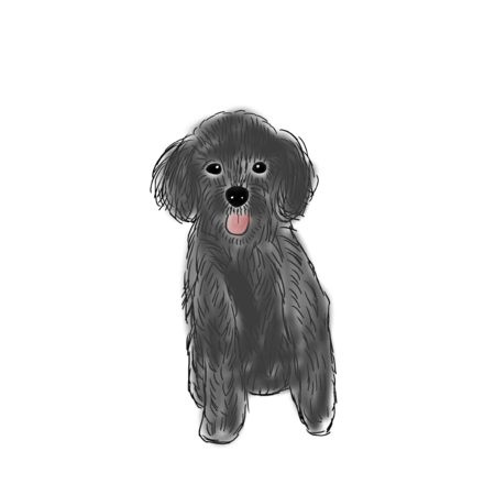 1de119b3 5f7b 43ed b818 b9c0ad28b0b1 s