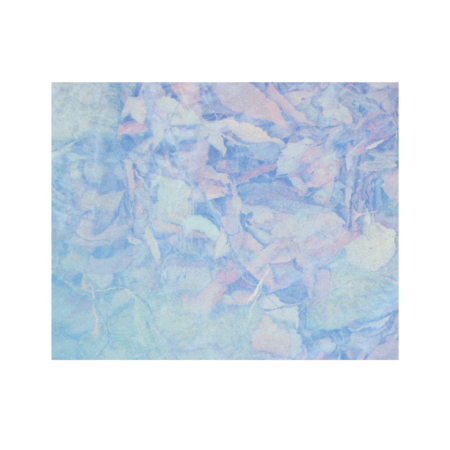 Bea6fe07 1243 4d2f b5c8 bbc10385452b s